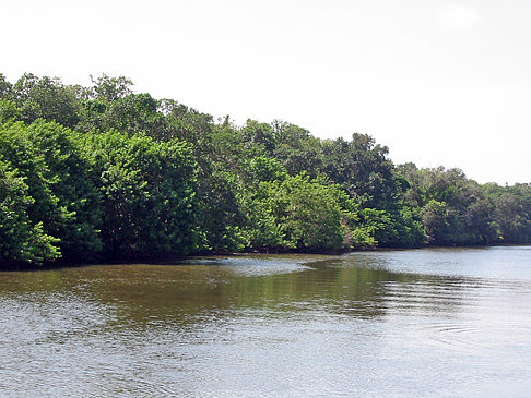 Collier Boulevard Boating Park Fotos