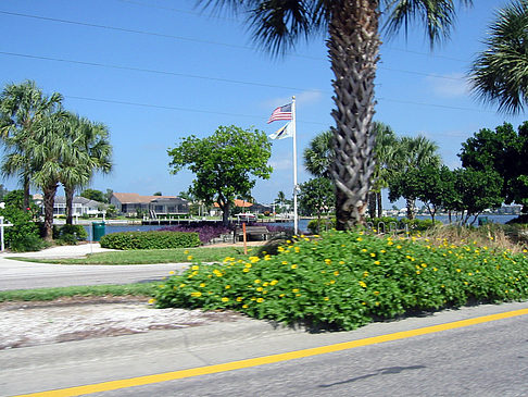 Fotos Straßenrand auf Marco Island | Marco Island