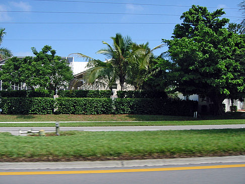 Foto Straßenrand auf Marco Island