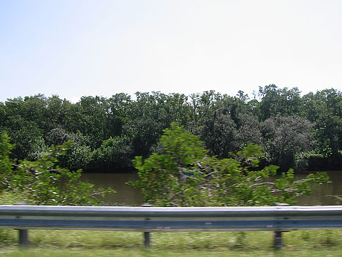 Straßenrand auf Marco Island Foto 