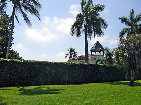 Foto Straßenrand auf Marco Island