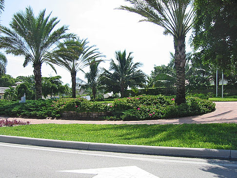 Straßenrand auf Marco Island Fotos