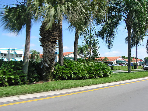 Foto Straßenrand auf Marco Island