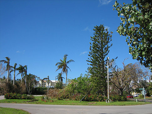 Straßenrand