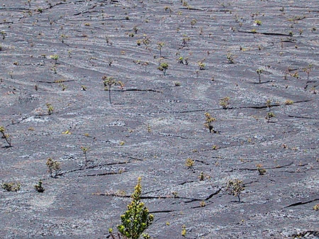 Fotos Erstarrte Lava