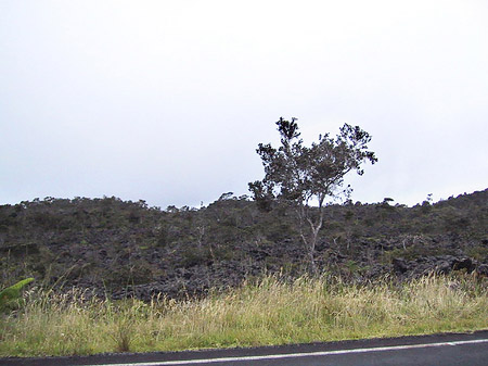 Hawaiis Straßenränder Fotos