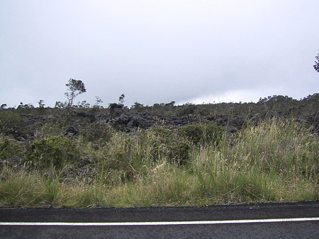 Hawaiis Straßenränder