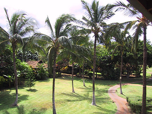 Hotelanlage auf Maui Fotos