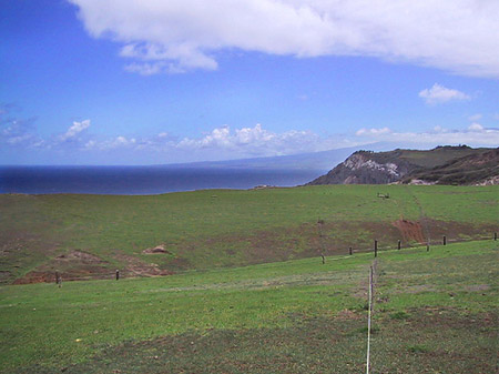 Landschaft auf Maui Foto 