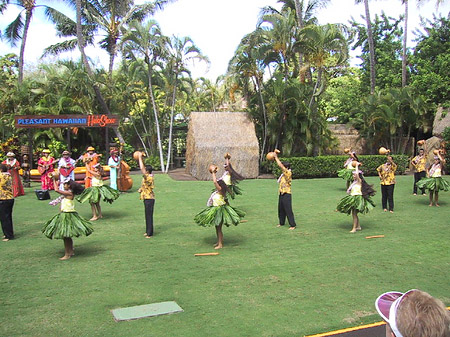 Hula Show Fotos