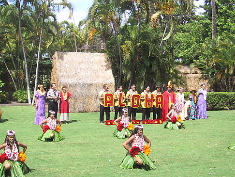 Hula Show Foto 