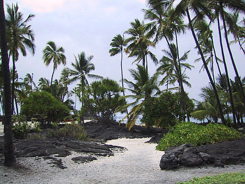 Fotos Der Strand von Hawaii | 