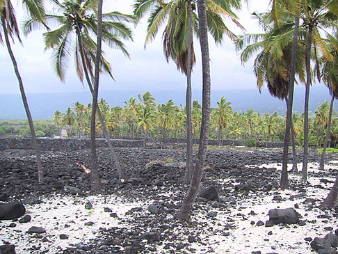 Fotos Der Strand von Hawaii | 