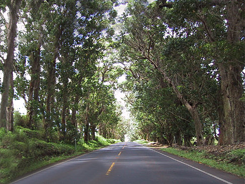 Straßen auf Kauai