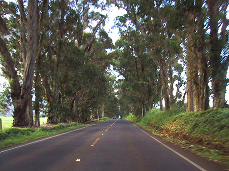 Straßen auf Kauai Fotos