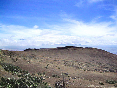 Trockene Landschaft Foto 