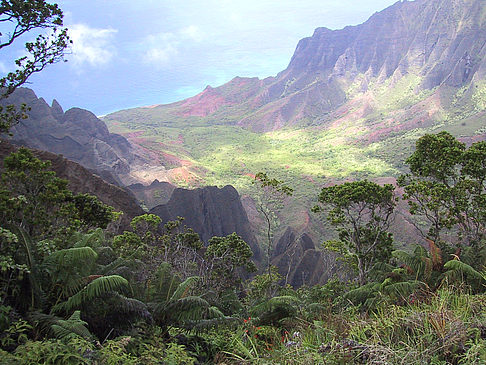 Foto Waimea Canyon