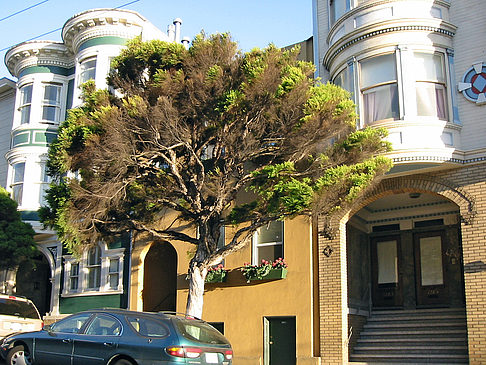 Straßen von San Francisco Foto 