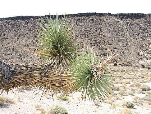 Lone Pine - Panamint Springs Fotos