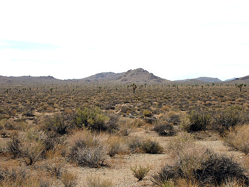 Fotos Lone Pine - Panamint Springs