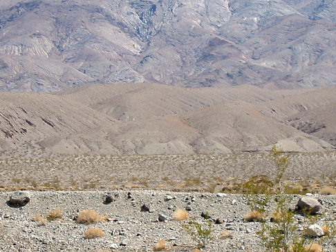 Foto Panamint Springs - Stovepipe Wells