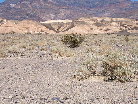 Fotos Stovepipe Wells - Ubehebe Crater | 