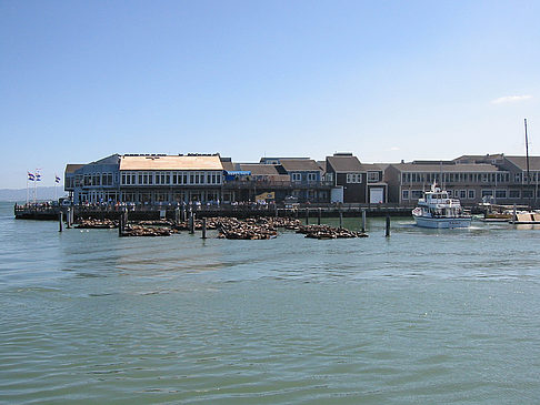 Fishermans Pier 39 bis 45 Fotos