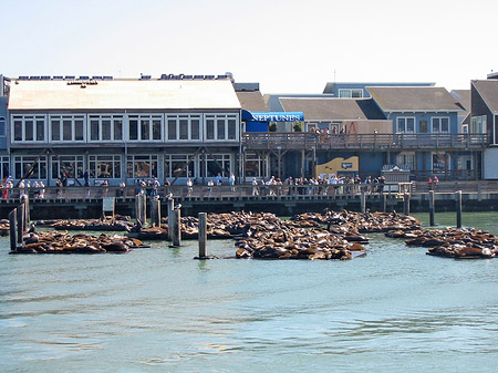 Fishermans Pier 39 bis 45 Fotos