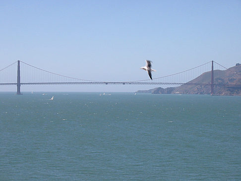 Fotos Golden Gate Bridge