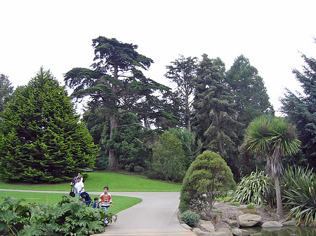 Golden Gate Park mit Botanischen Garten