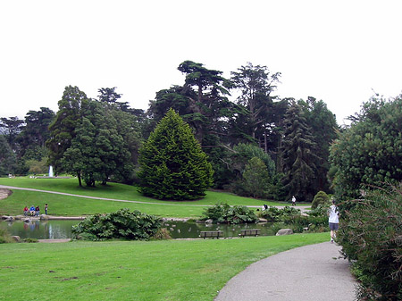 Fotos Golden Gate Park mit Botanischen Garten