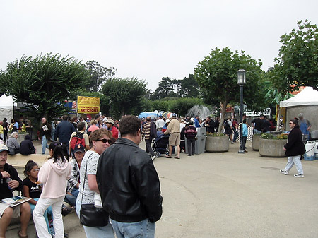 Fotos Golden Gate Park mit Botanischen Garten | San Francisco