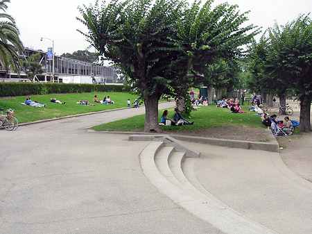 Foto Golden Gate Park mit Botanischen Garten - San Francisco