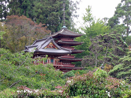 Fotos Golden Gate Park mit Botanischen Garten | San Francisco