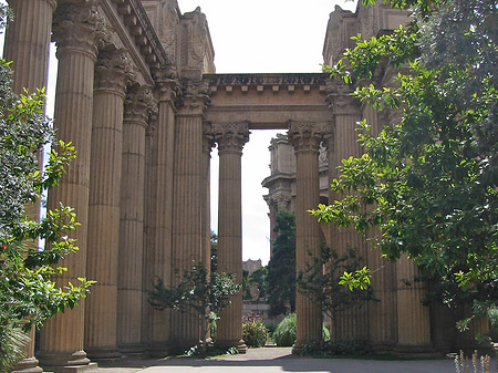 Palace of Fine Arts Fotos