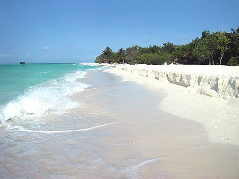 Der weiße Sandstrand der Malediven Foto 