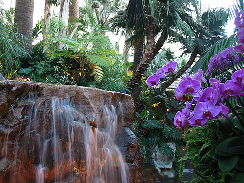 Foto Hotel Mirage - Las Vegas